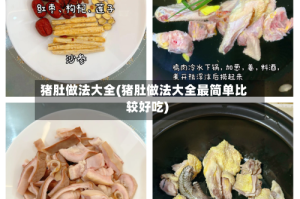 猪肚做法大全(猪肚做法大全最简单比较好吃)