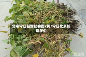 北京今日新增社会面2例/今日北京新增多少