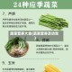 蔬菜营养大全(蔬菜营养及功效)