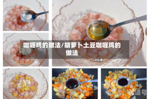 咖喱鸡的做法/胡萝卜土豆咖喱鸡的做法