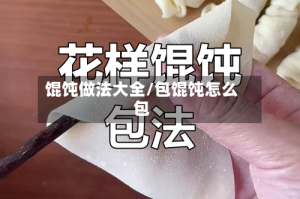 馄饨做法大全/包馄饨怎么包
