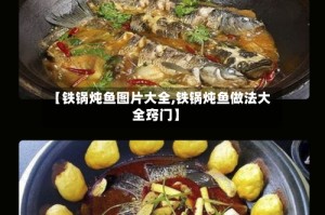 【铁锅炖鱼图片大全,铁锅炖鱼做法大全窍门】