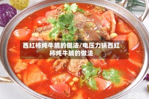 西红柿炖牛腩的做法/电压力锅西红柿炖牛腩的做法