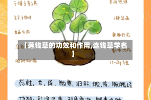 【莲钱草的功效和作用,连钱草学名】