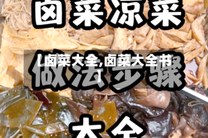 【卤菜大全,卤菜大全书】