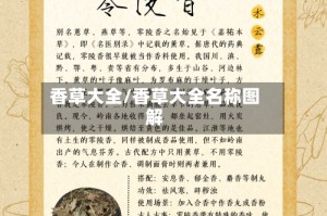 香草大全/香草大全名称图解