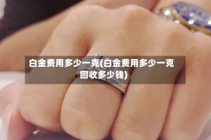 白金费用多少一克(白金费用多少一克回收多少钱)