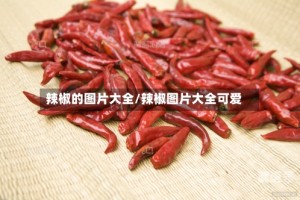 辣椒的图片大全/辣椒图片大全可爱