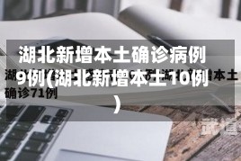 湖北新增本土确诊病例9例(湖北新增本土10例)