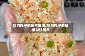 猪肉丸子的家常做法/猪肉丸子的家常做法简单