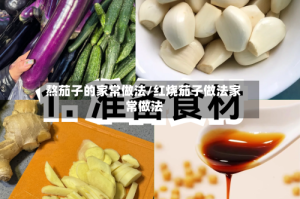 熬茄子的家常做法/红烧茄子做法家常做法