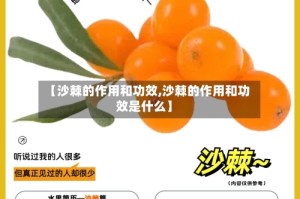 【沙棘的作用和功效,沙棘的作用和功效是什么】