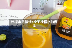 柠檬水的做法/橙子柠檬水的做法
