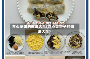 卷心菜饼的做法大全(卷心菜饼子的做法大全)