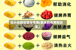 白小米的功效与作用(薏米的作用和功效)