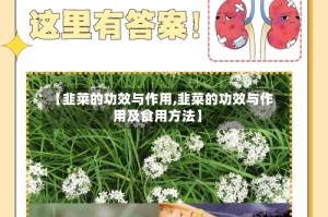 【韭莱的功效与作用,韭菜的功效与作用及食用方法】