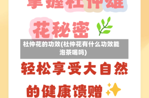 杜仲花的功效(杜仲花有什么功效能泡茶喝吗)