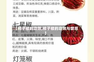 【柿子椒的功效,柿子椒的功效与禁忌】