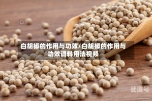白胡椒的作用与功效/白胡椒的作用与功效调料用法视频