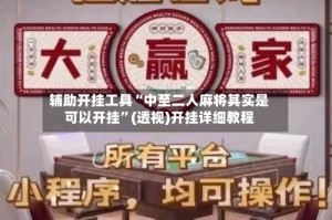 辅助开挂工具“中至二人麻将其实是可以开挂”(透视)开挂详细教程