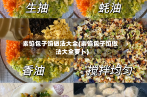 素馅包子馅做法大全(素馅包子馅做法大全萝卜)