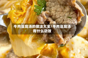 牛肉豆腐汤的做法大全/牛肉豆腐汤有什么功效