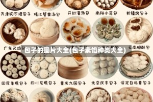 包子的图片大全(包子素馅种类大全)