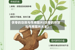 茯苓的功效与作用图片(茯苓的功效与作用图片大全)