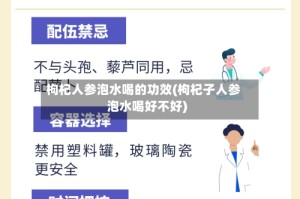 枸杞人参泡水喝的功效(枸杞子人参泡水喝好不好)