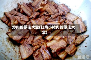 炒肉的做法大全(红烧小猪肉的做法大全)