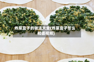 炸菜盒子的做法大全(炸菜盒子怎么和面视频)