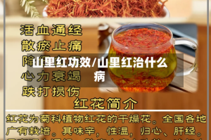 山里红功效/山里红治什么病
