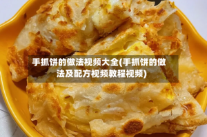 手抓饼的做法视频大全(手抓饼的做法及配方视频教程视频)