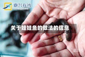 关于娃娃鱼的做法的信息
