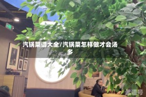 汽锅菜谱大全/汽锅菜怎样做才会汤多