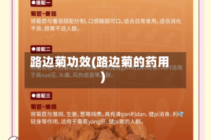 路边菊功效(路边菊的药用)