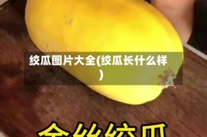 绞瓜图片大全(绞瓜长什么样)