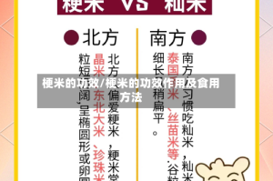 梗米的功效/梗米的功效作用及食用方法