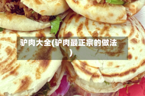 驴肉大全(驴肉最正宗的做法)
