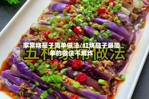 家常烧茄子简单做法/红烧茄子最简单的做法不用炸