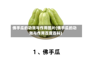 佛手瓜的功效与作用图片(佛手瓜的功效与作用百度百科)
