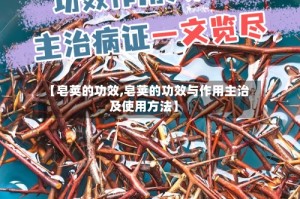 【皂荚的功效,皂荚的功效与作用主治及使用方法】