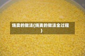 烧卖的做法(烧麦的做法全过程)