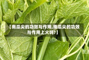 【南瓜尖的功效与作用,南瓜尖的功效与作用上火吗?】