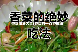 香菜做法大全(香菜的一百种做法)