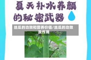 丝瓜的功效和营养价值/丝瓜的功效及作用