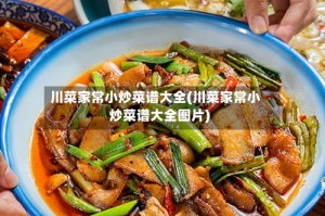 川菜家常小炒菜谱大全(川菜家常小炒菜谱大全图片)
