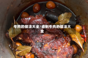 牛肉的做法大全/卤制牛肉的做法大全