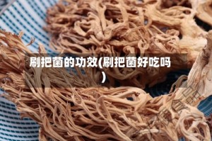 刷把菌的功效(刷把菌好吃吗)