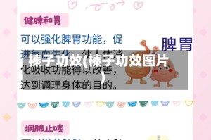 榛子功效(榛子功效图片)